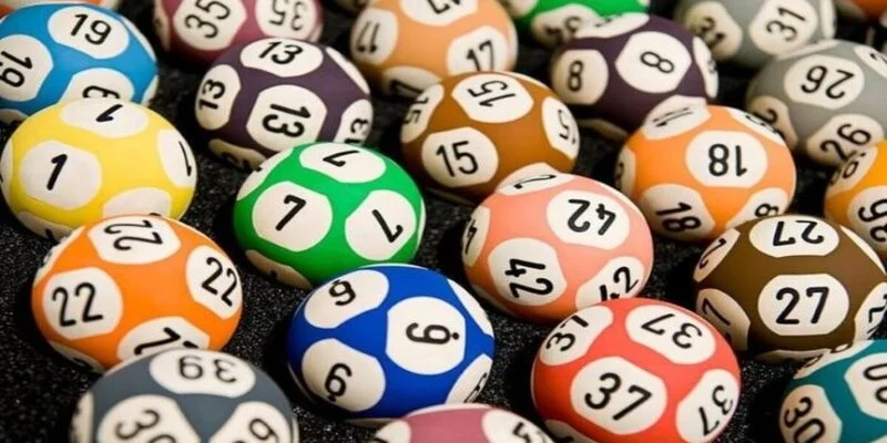 Một số cách nuôi lô khung 5 ngày phổ biến